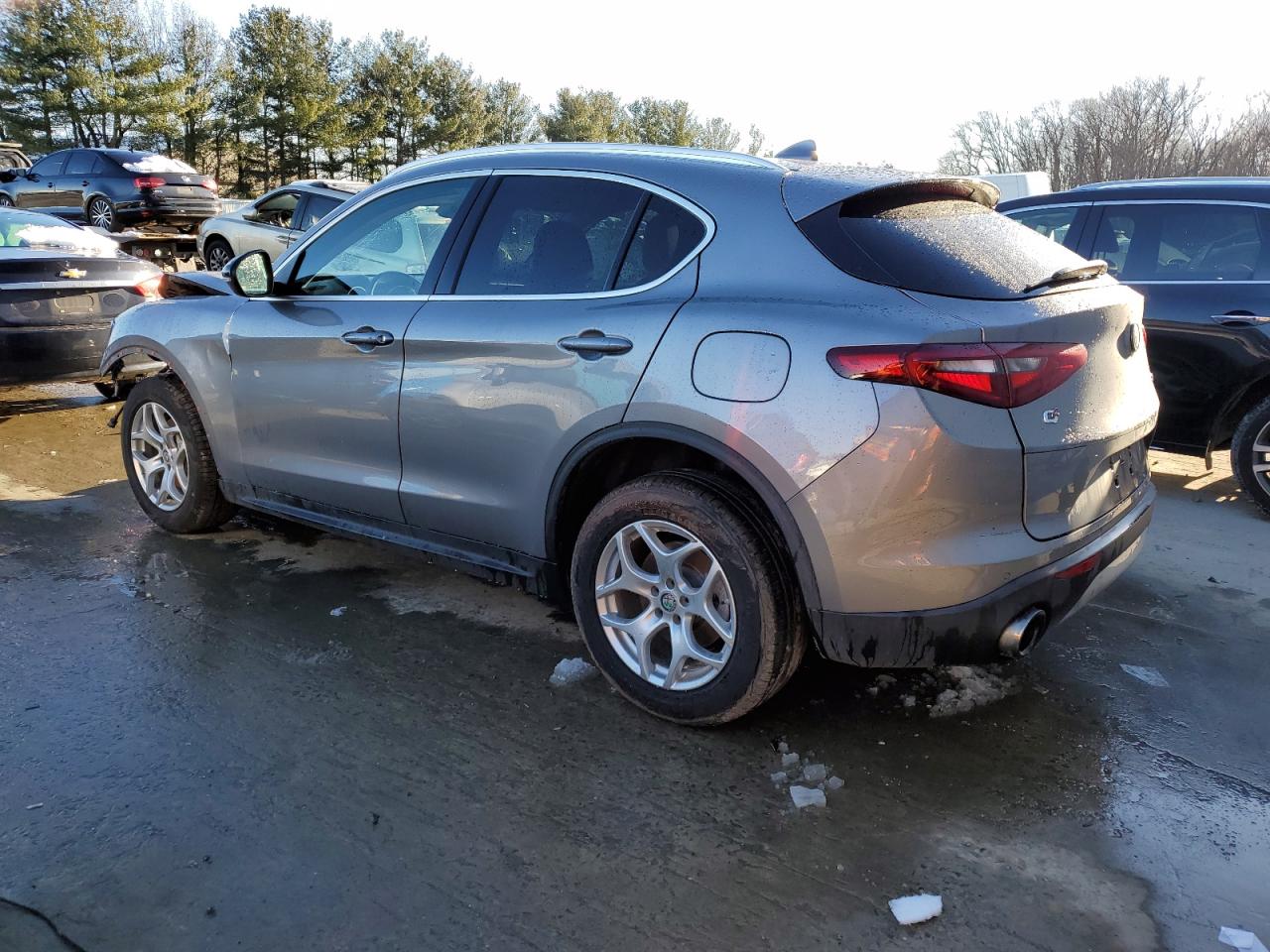 2019 Alfa Romeo Stelvio VIN: ZASPAKANXK7C30020 Lot: 40560954