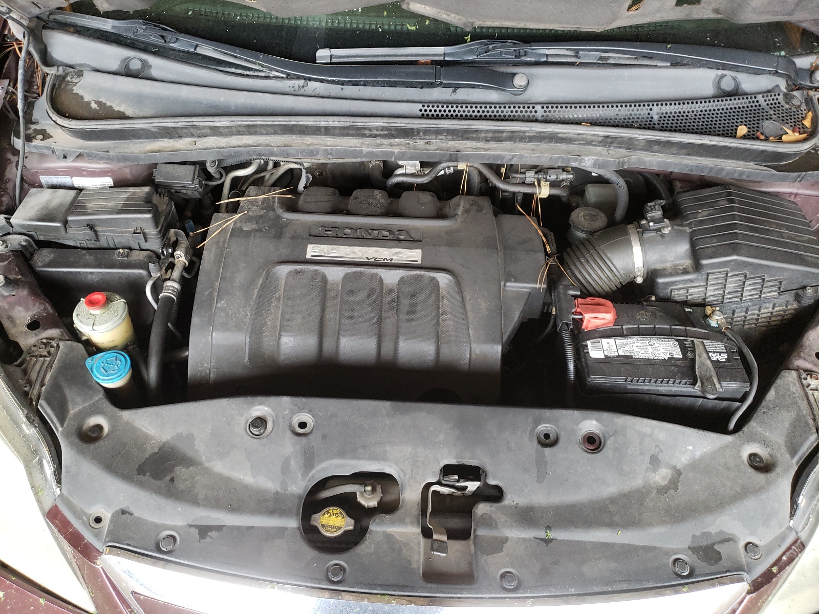 5FNRL38677B033503 2007 Honda Odyssey Exl