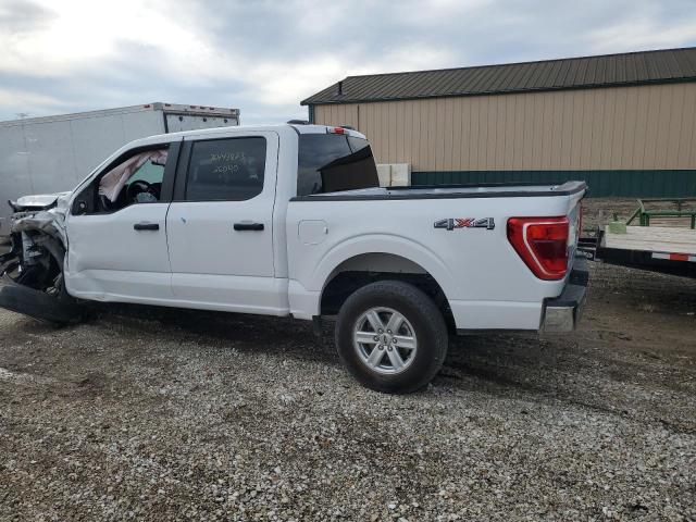  FORD F150 2023 White