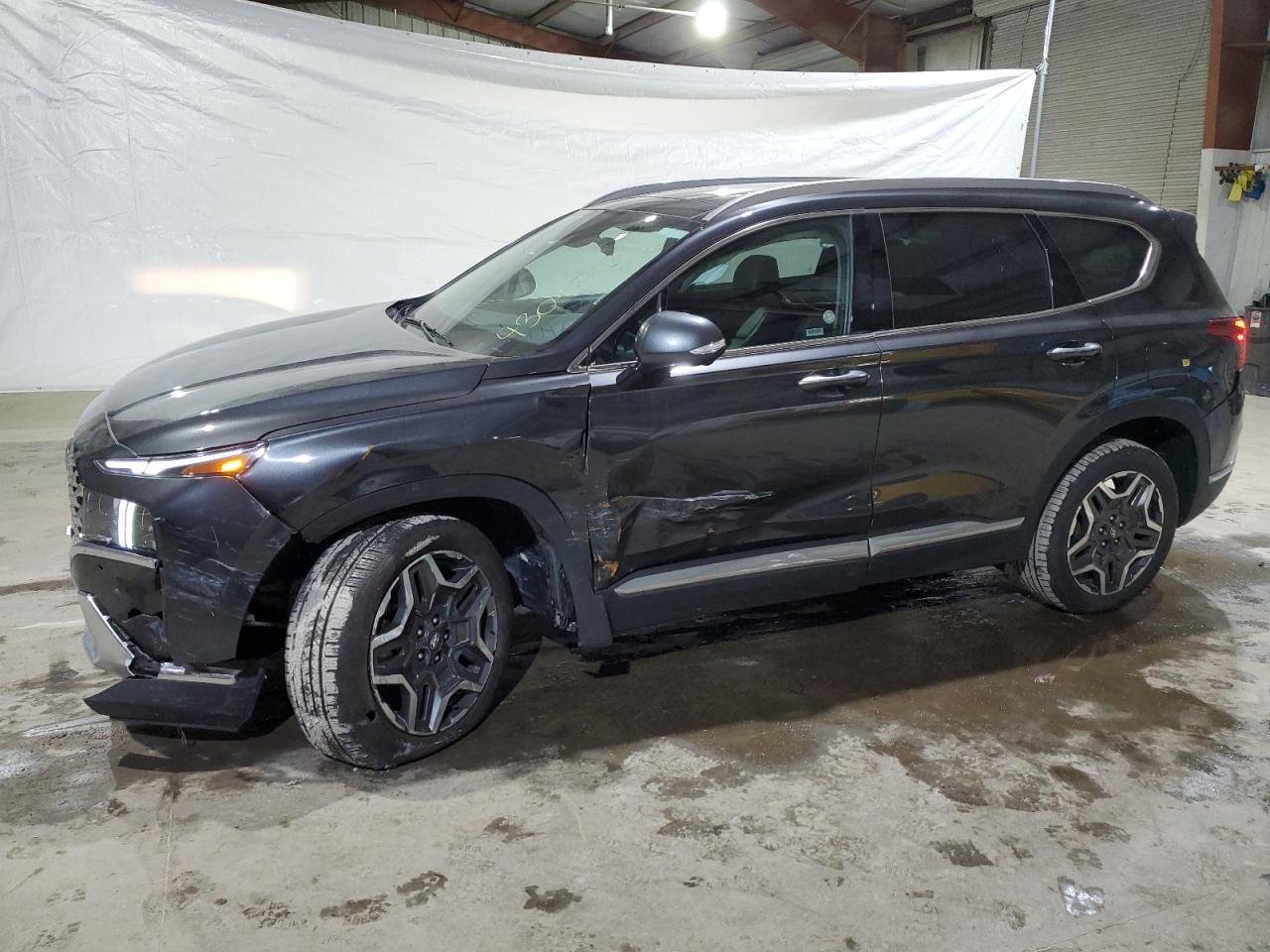 2023 Hyundai Santa Fe Limited VIN: 5NMS4DAL7PH525144 Lot: 43043934