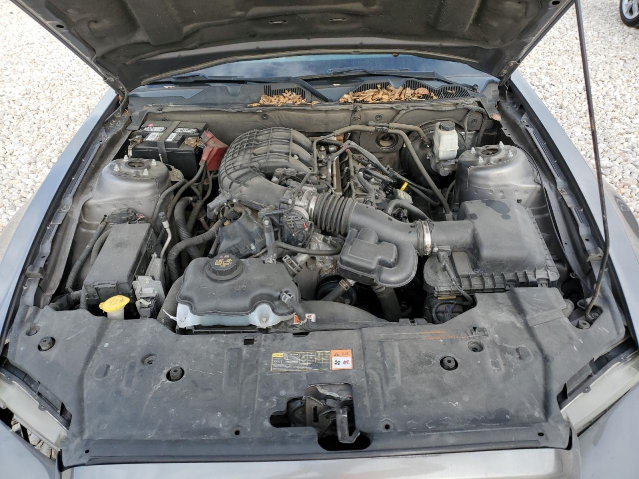 2013 Ford Mustang VIN: 1ZVBP8AM5D5278998 Lot: 42146464