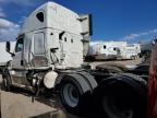 Albuquerque, NM에서 판매 중인 2019 Freightliner Cascadia 126  - All Over