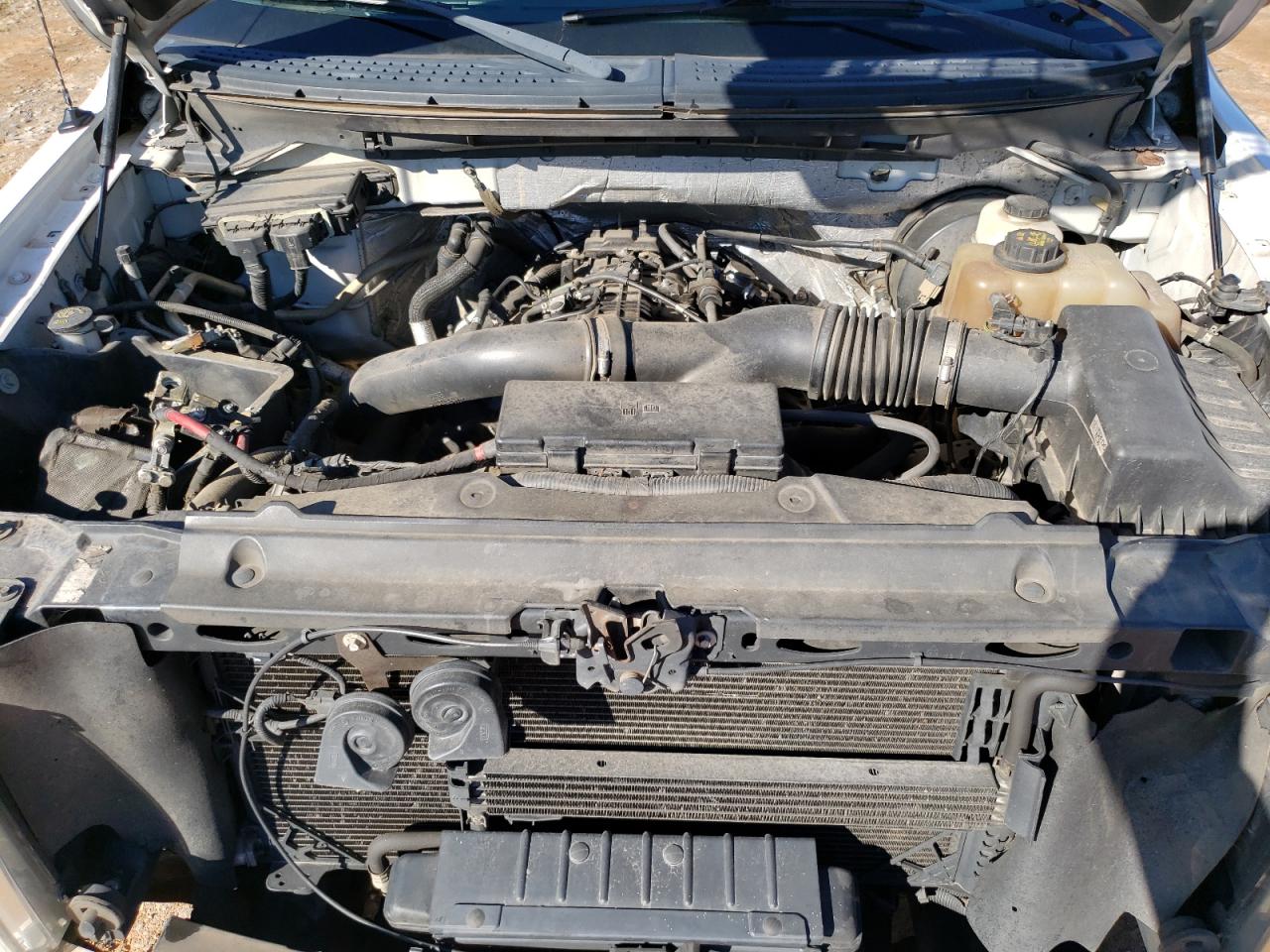 2013 Ford F150 VIN: 1FTNF1CT6DKE68888 Lot: 41203674