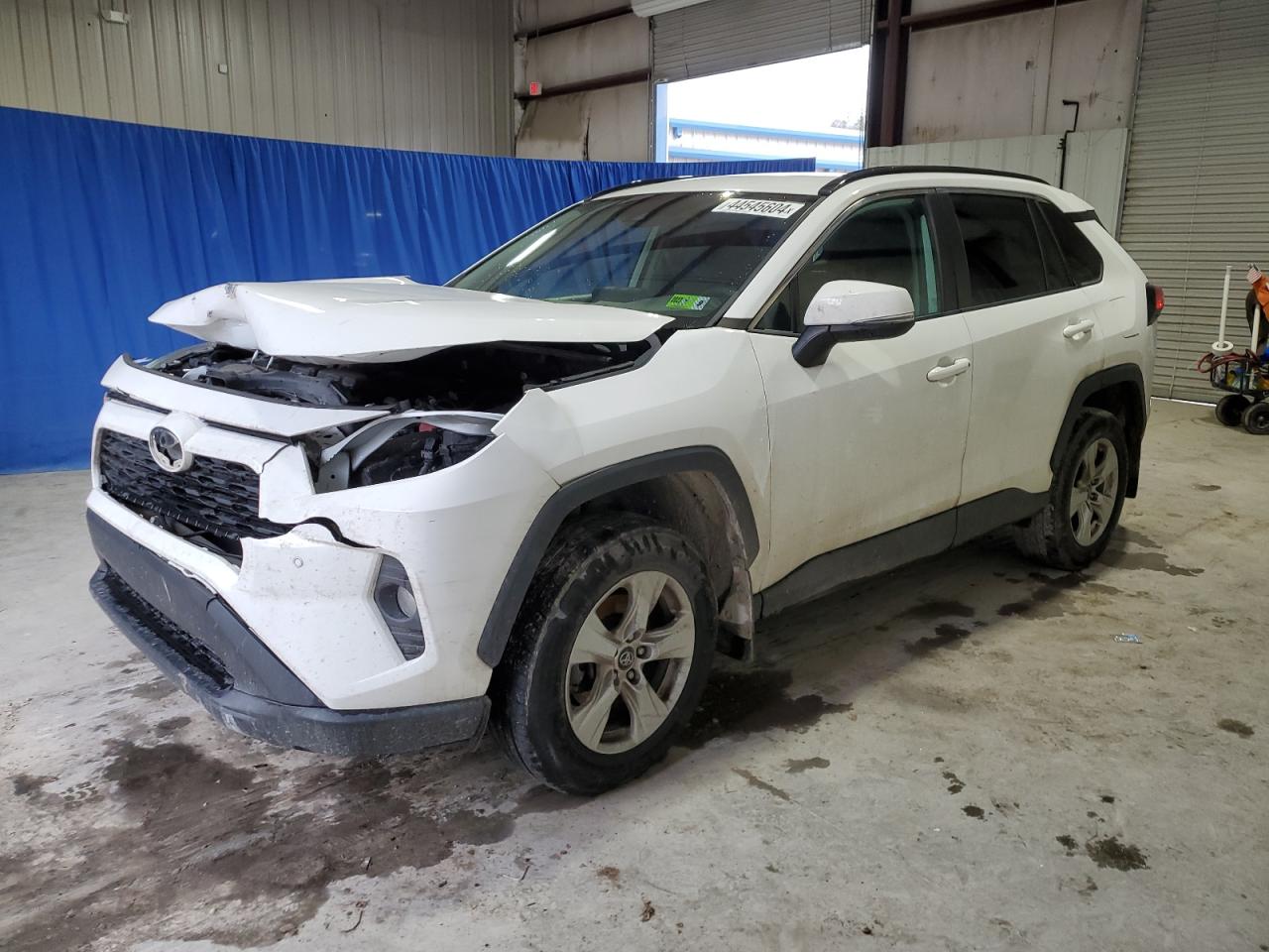 2T3P1RFV1KW017021 2019 Toyota Rav4 Xle