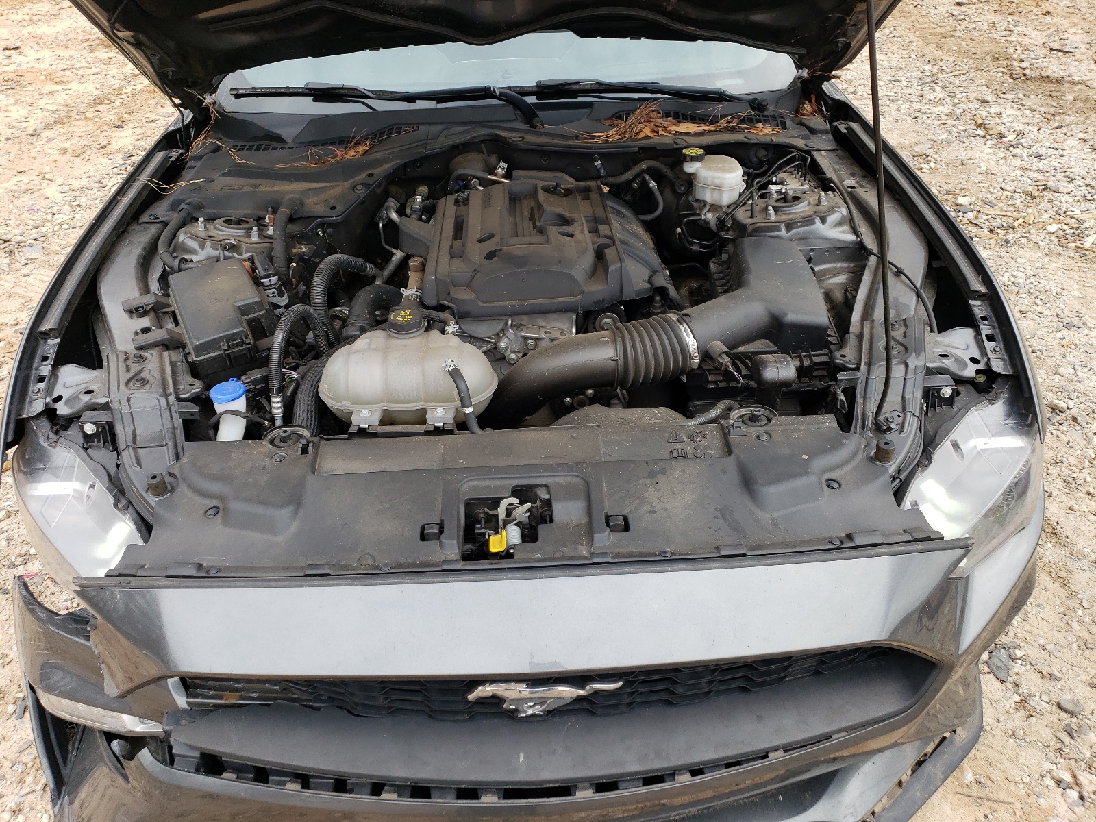 1FA6P8TH1L5141436 2020 Ford Mustang