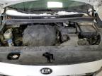 2019 KIA SEDONA EX   à vendre chez Copart ON - OTTAWA