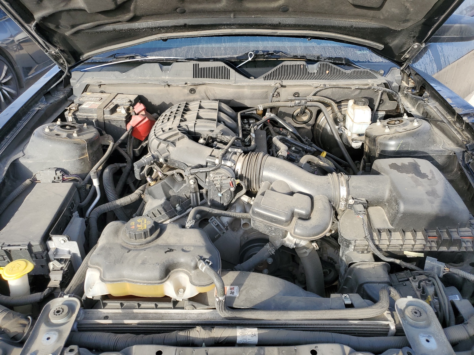 1ZVBP8AM2D5241861 2013 Ford Mustang