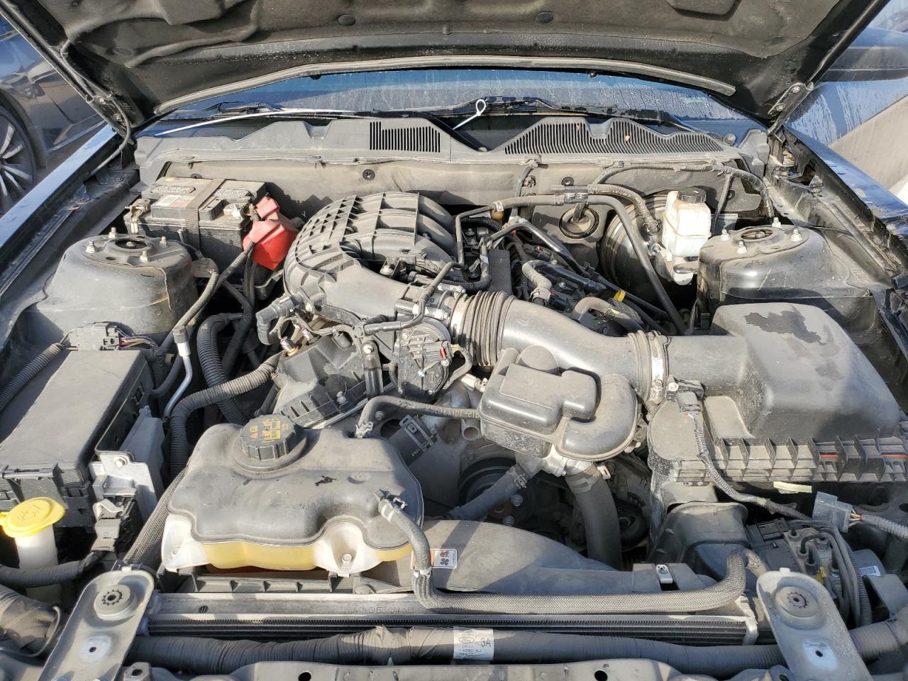 2013 Ford Mustang VIN: 1ZVBP8AM2D5241861 Lot: 43470754