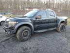 Baltimore, MD에서 판매 중인 2014 Ford F150 Svt Raptor - Minor Dent/Scratches