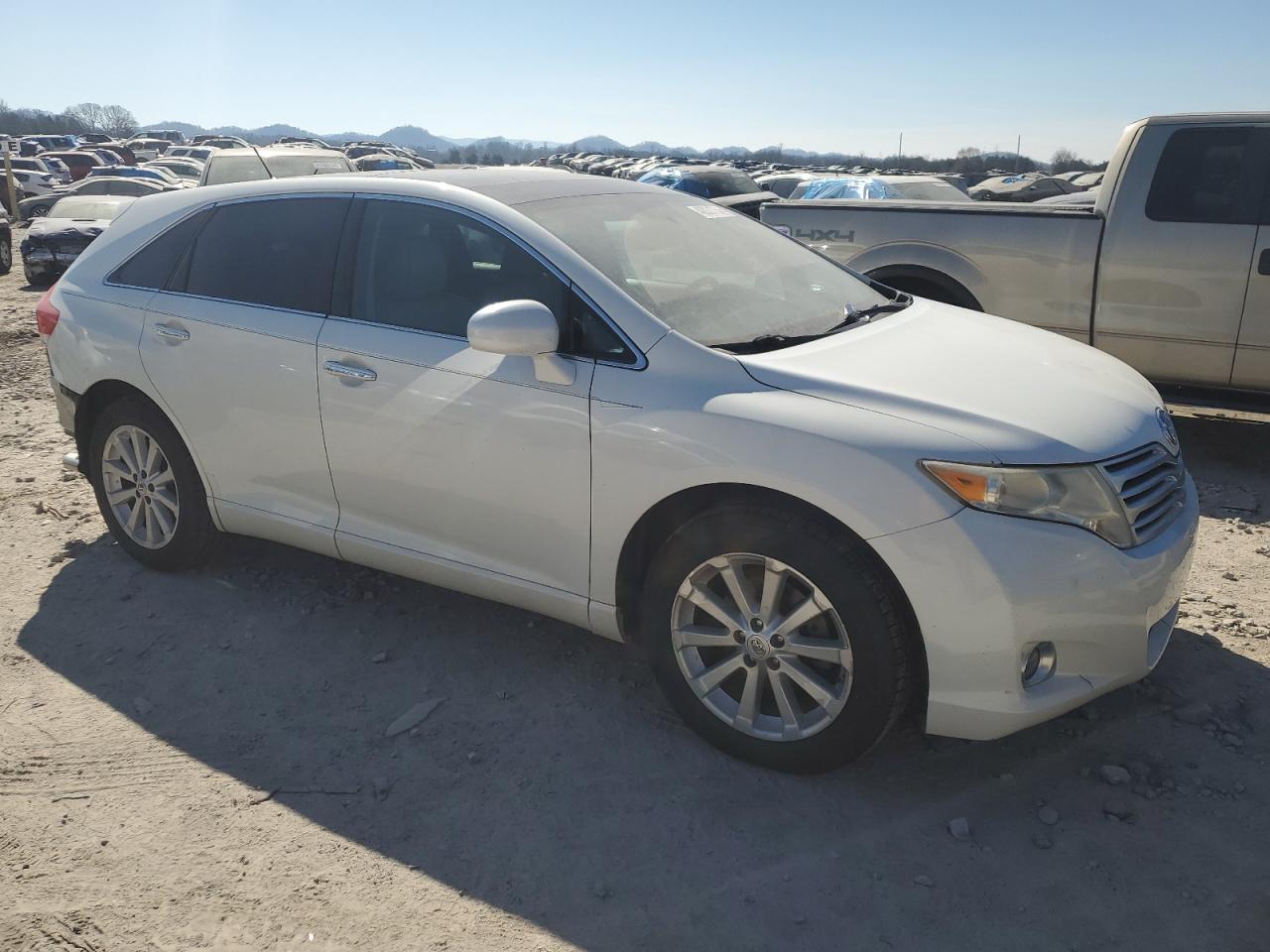 2010 Toyota Venza VIN: 4T3ZA3BB7AU027505 Lot: 40031754