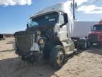 Albuquerque, NM에서 판매 중인 2019 Freightliner Cascadia 126  - All Over