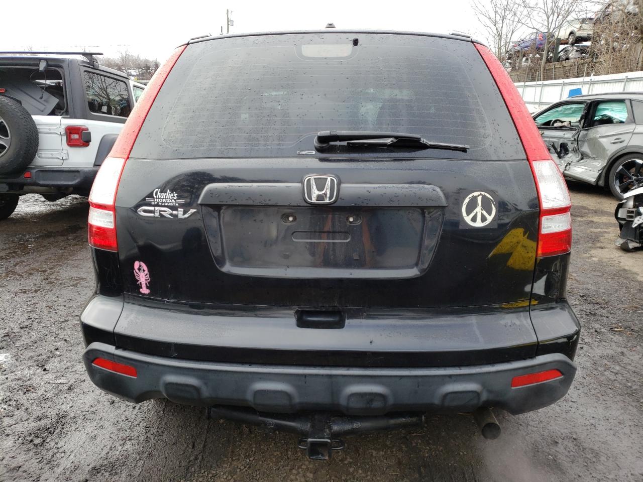 2009 Honda Cr-V Lx VIN: JHLRE48349C024900 Lot: 42411154