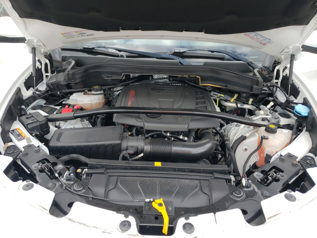 2019 Alfa Romeo Stelvio - Image 13