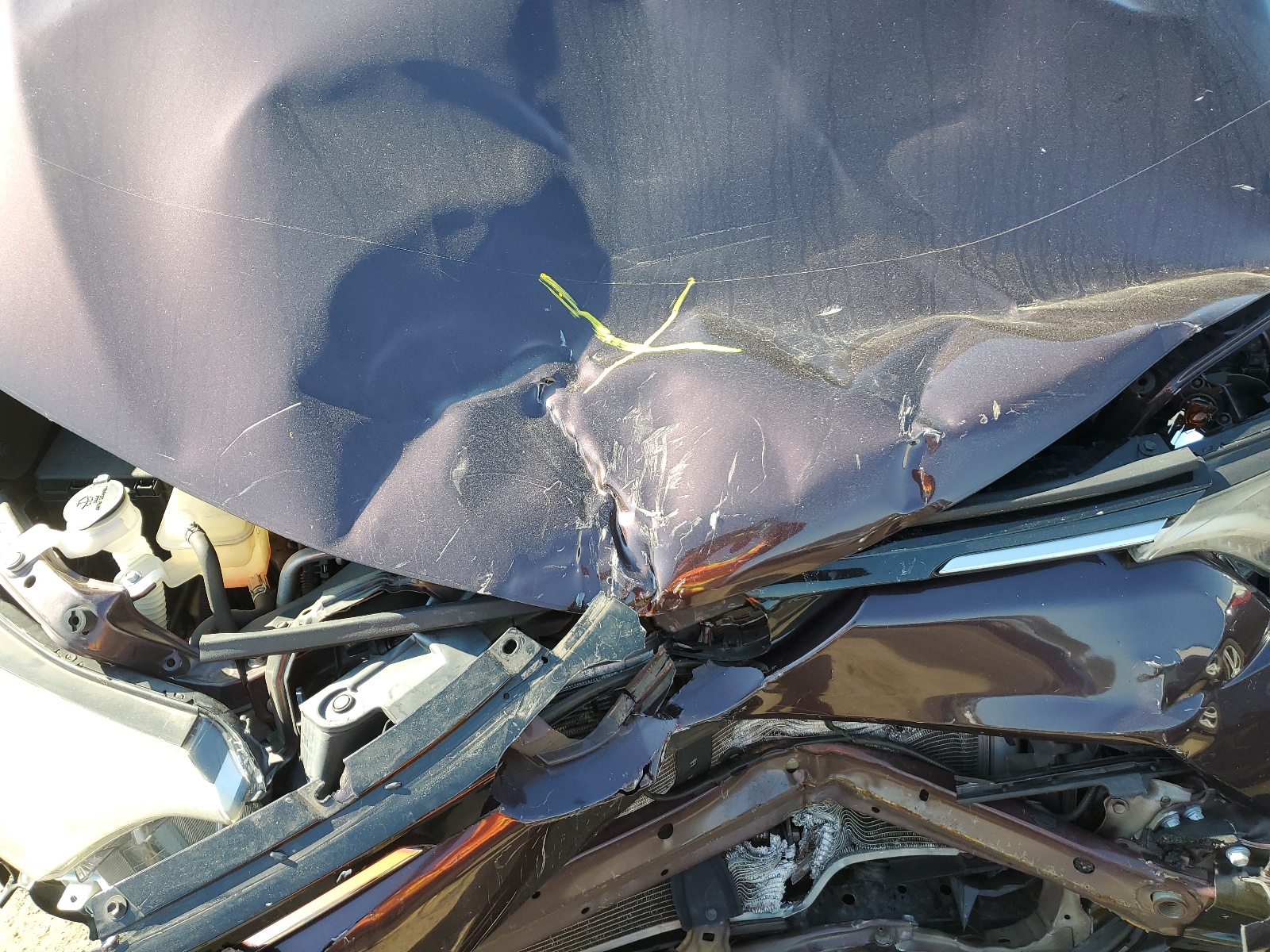 2T3WFREV9HW344807 2017 Toyota Rav4 Xle