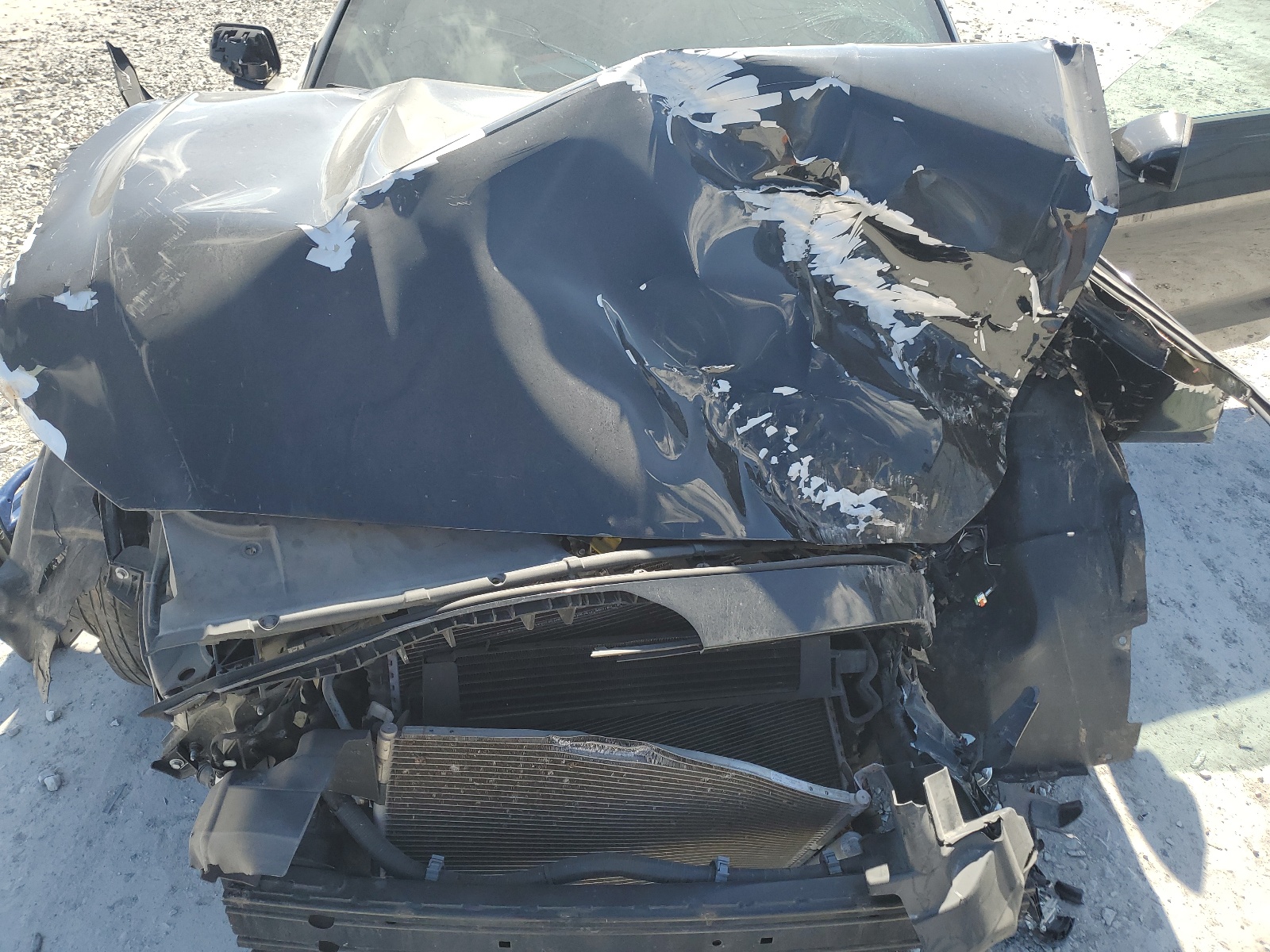 1FA6P8AM4G5272866 2016 Ford Mustang