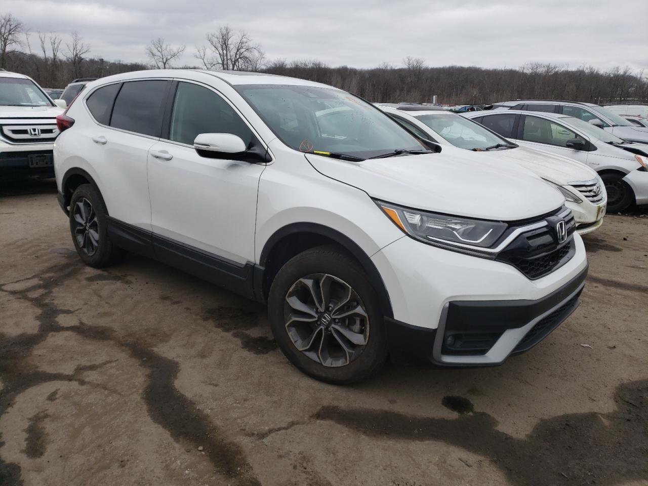 2021 Honda Cr-V Ex VIN: 5J6RW2H55MA006968 Lot: 42381844