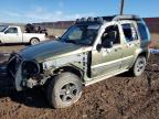 2004 Jeep Liberty Renegade de vânzare în Rapid City, SD - All Over