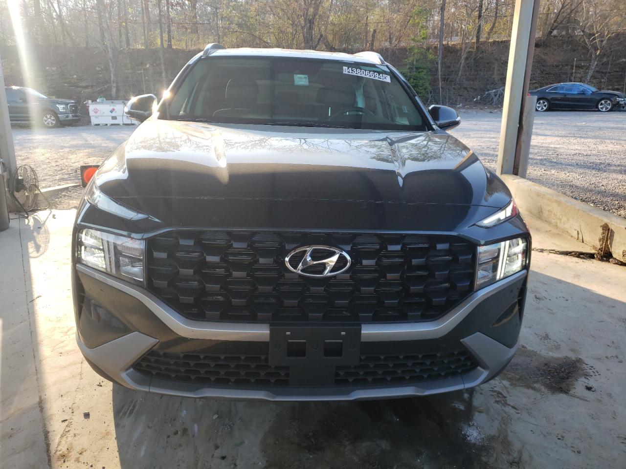 2023 Hyundai Santa Fe Sel VIN: 5NMS2DAJ1PH609982 Lot: 43806694