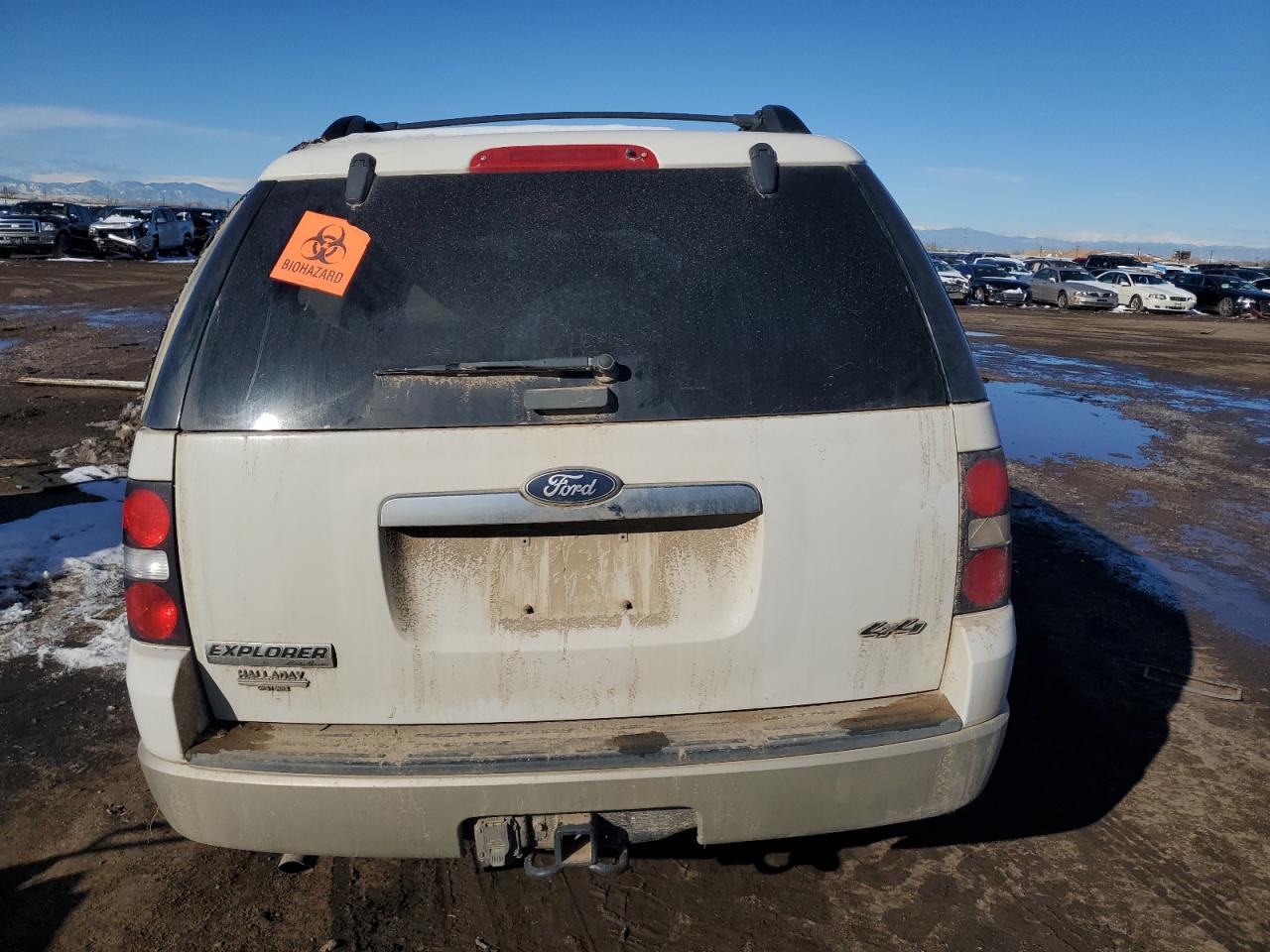 2010 Ford Explorer Eddie Bauer VIN: 1FMEU7EE4AUA61025 Lot: 41906554