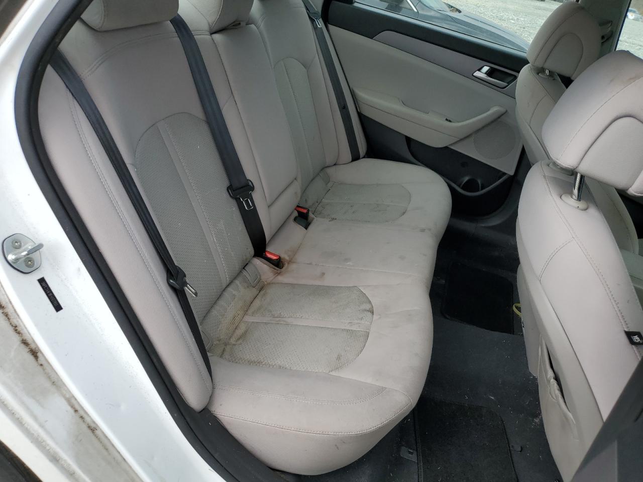 2015 Hyundai Sonata Se VIN: 5NPE24AF8FH107951 Lot: 44528894