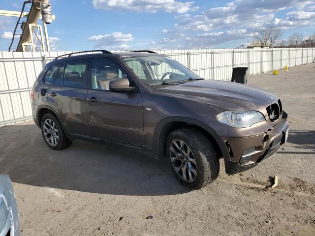 Parquets BMW X5 2012 Brązowy