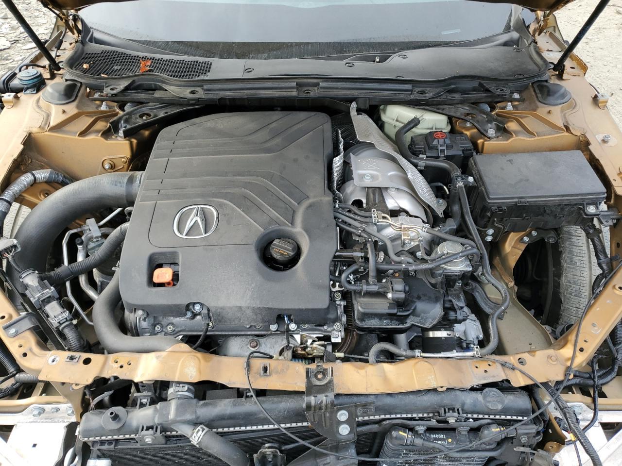 19UUB7F03MA000829 2021 Acura Tlx Type S