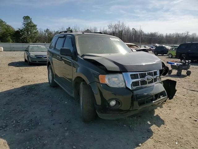 2011 Ford Escape Xlt VIN: 1FMCU0DG6BKA31197 Lot: 58164834