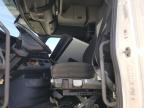 Albuquerque, NM에서 판매 중인 2019 Freightliner Cascadia 126  - All Over
