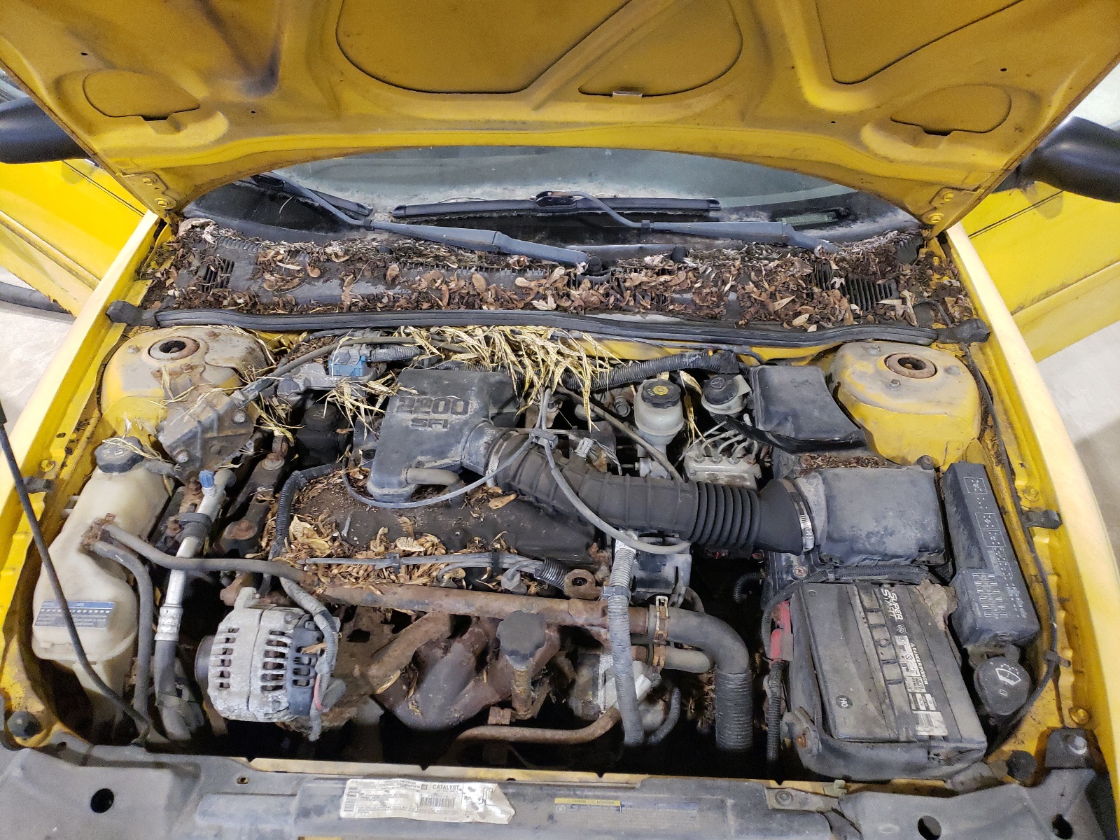 1G1JC124927337187 2002 Chevrolet Cavalier