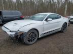 2021 FORD MUSTANG    à vendre chez Copart ON - COOKSTOWN