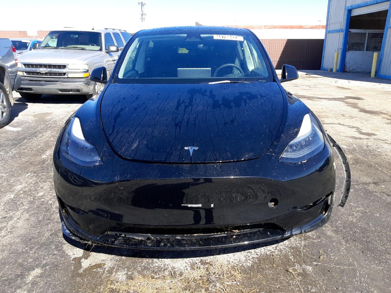 2023 Tesla Model Y VIN: 7SAYGDEE2PF639344 Lot: 44769424