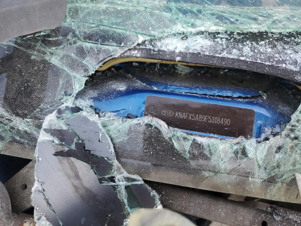 2015 Kia Forte Ex VIN: KNAFX5A89F5318490 Lot: 46953034