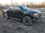 Baltimore, MD에서 판매 중인 2014 Ford F150 Svt Raptor - Minor Dent/Scratches