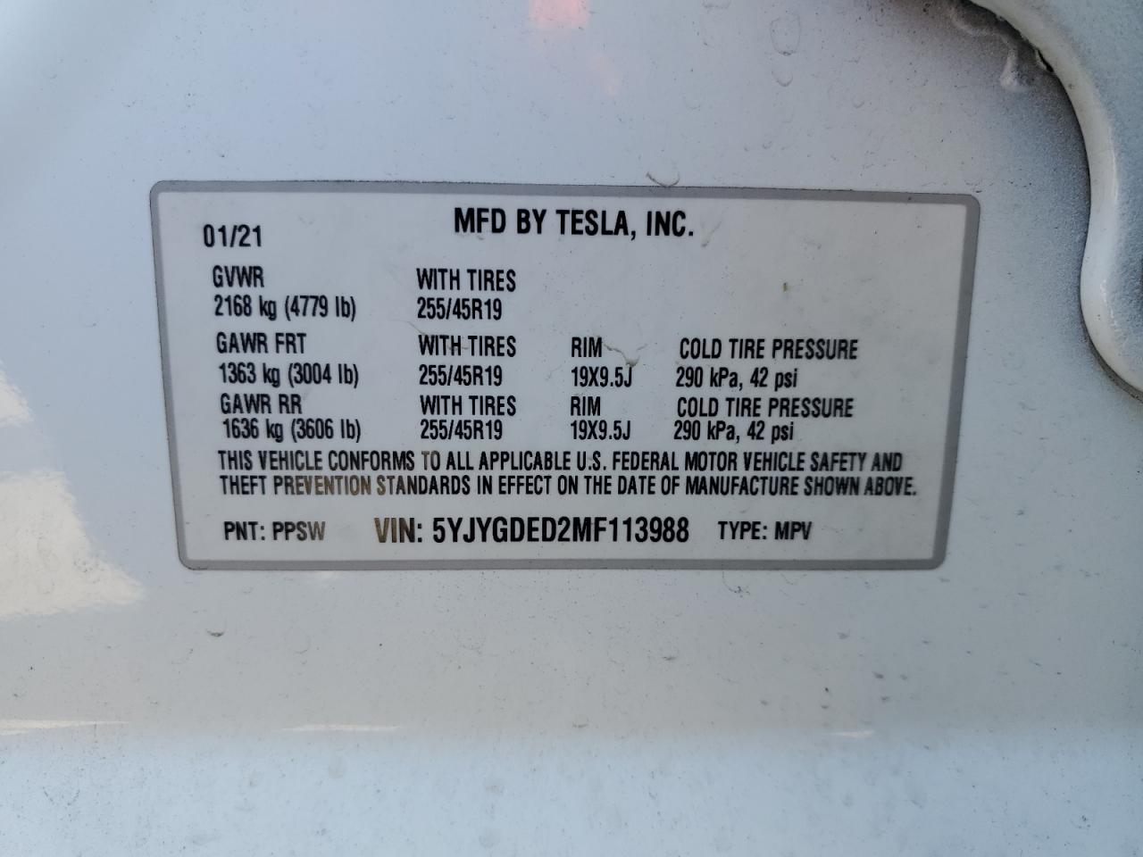 2021 Tesla Model Y VIN: 5YJYGDED2MF113988 Lot: 69176324