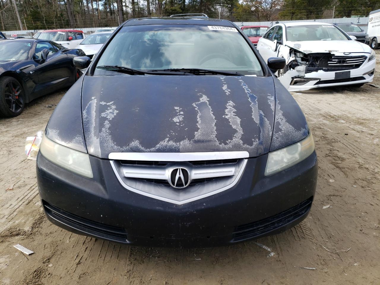 2004 Acura Tl VIN: 19UUA66244A046488 Lot: 43784364