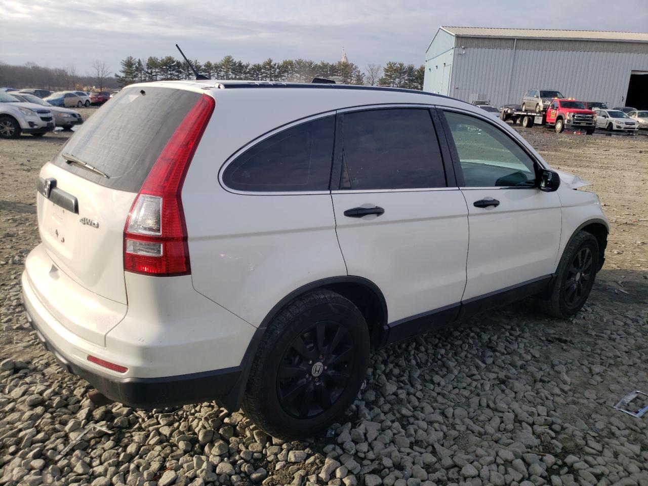 2011 Honda Cr-V Lx VIN: 5J6RE4H36BL025060 Lot: 41332614