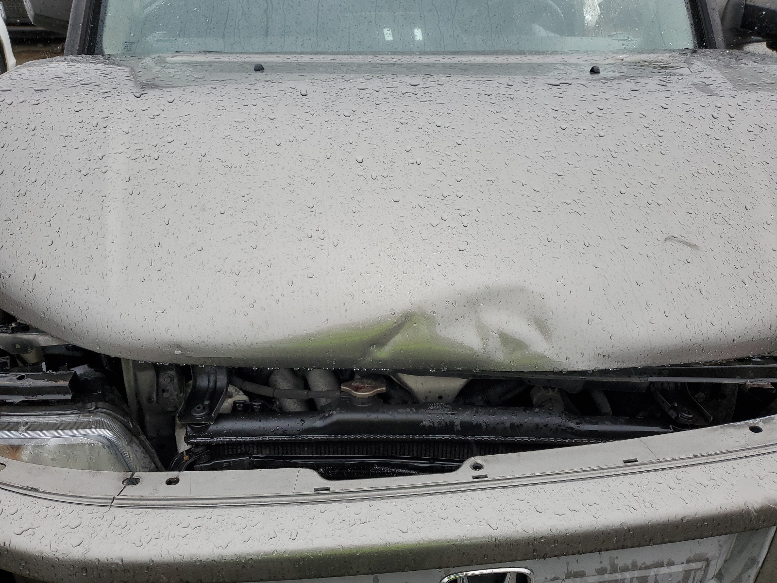 5J6YH18977L016008 2007 Honda Element Sc