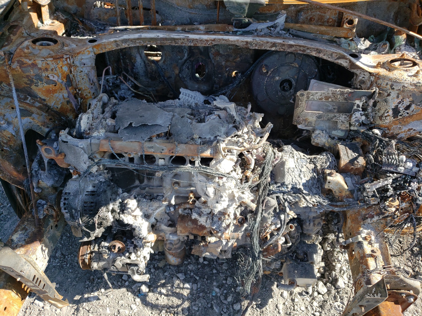 3KPF24AD9KE115526 2019 Kia Forte Fe