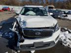 Brookhaven, NY에서 판매 중인 2016 Kia Sorento Lx - Front End