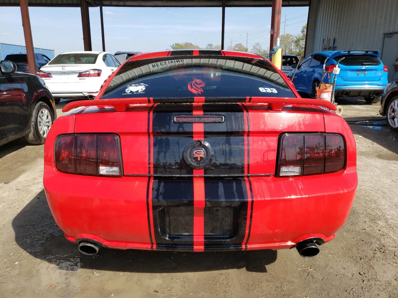 2005 Ford Mustang Gt VIN: 1ZVHT82H555230524 Lot: 44311324