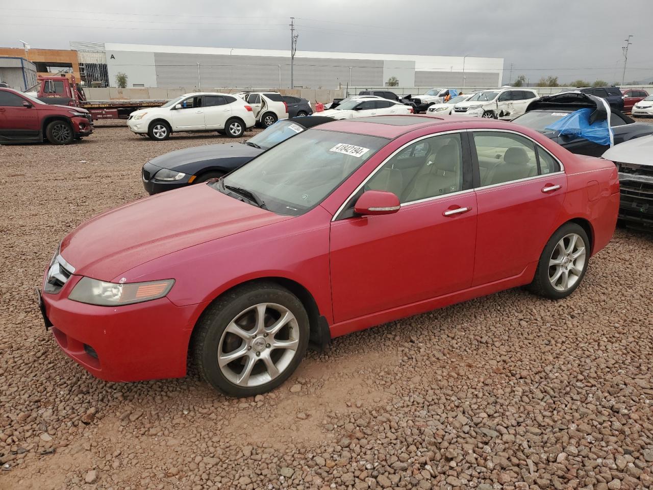 2004 Acura Tsx VIN: JH4CL96844C011379 Lot: 41842194