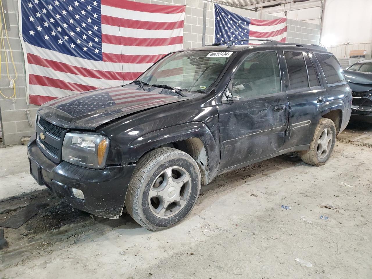 2008 Chevrolet Trailblazer Ls VIN: 1GNDT13S582139933 Lot: 40658404