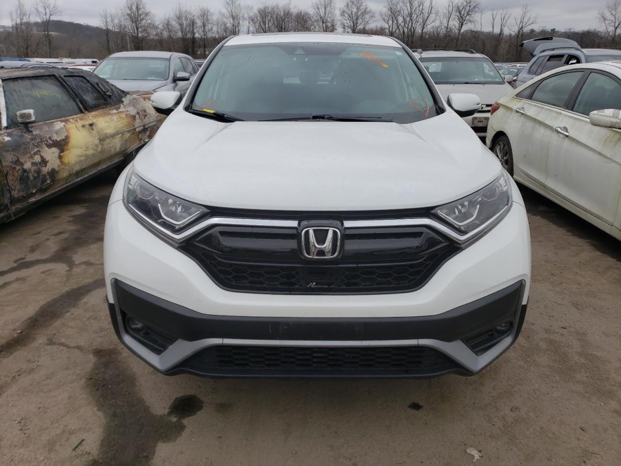 2021 Honda Cr-V Ex VIN: 5J6RW2H55MA006968 Lot: 42381844