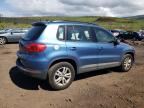 2017 Volkswagen Tiguan S იყიდება Kapolei-ში, HI - Rear End