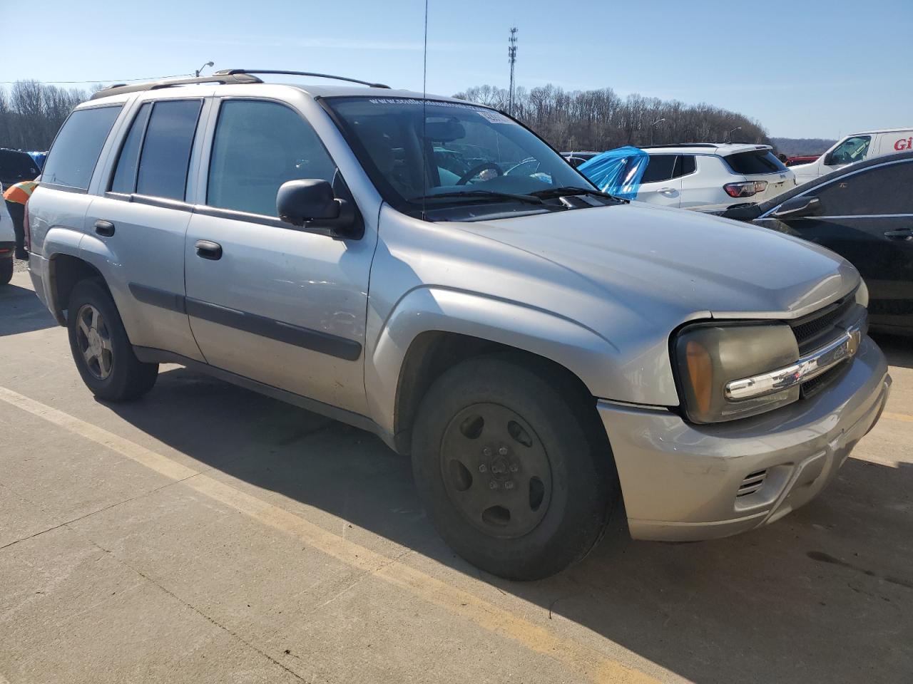 2005 Chevrolet Trailblazer Ls VIN: 1GNDT13S752302481 Lot: 42891074