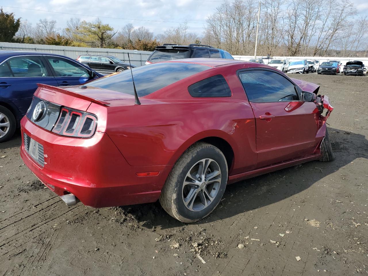 2014 Ford Mustang VIN: 1ZVBP8AM4E5327254 Lot: 40867134