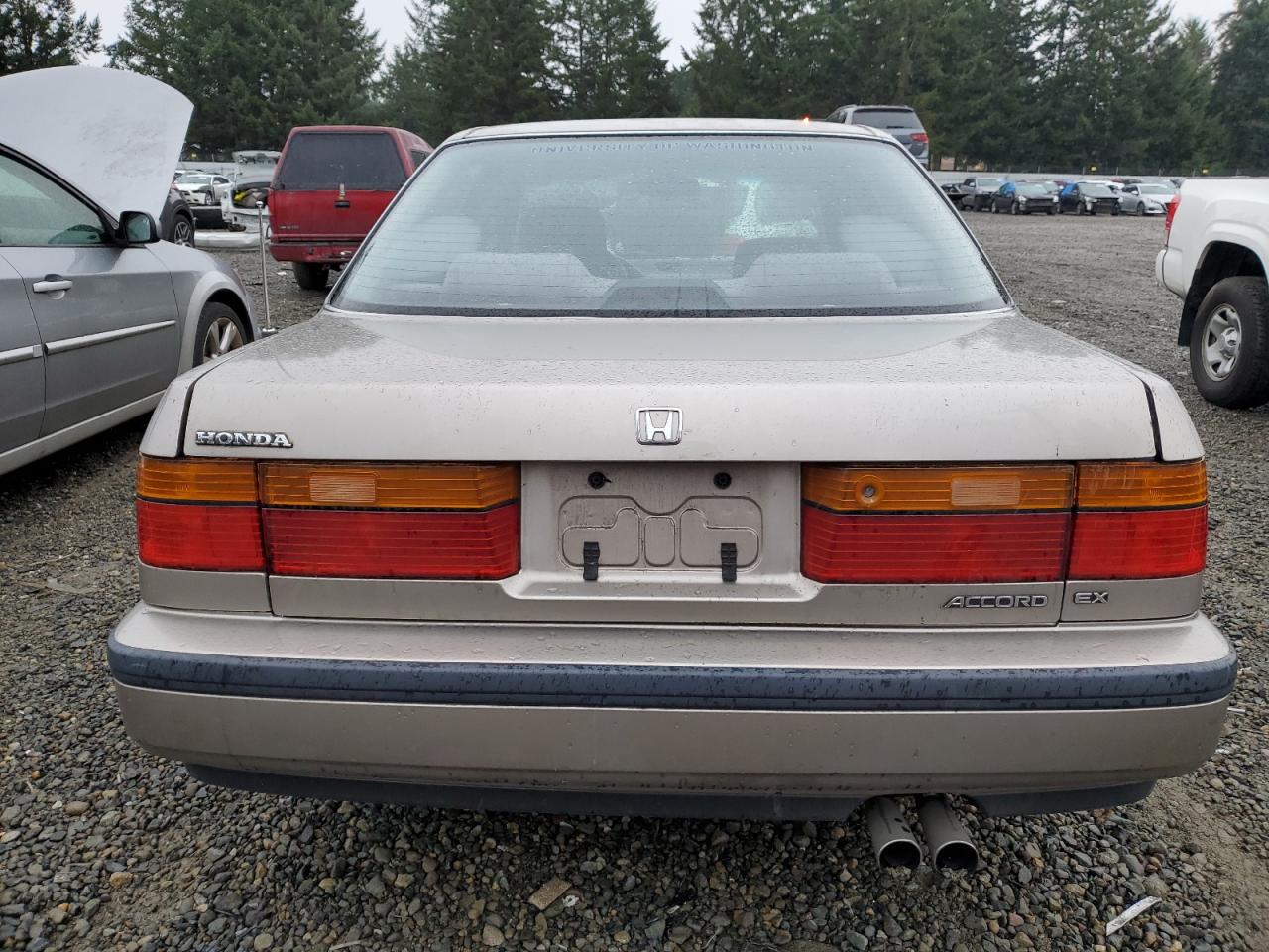 1991 Honda Accord Ex VIN: 1HGCB7664MA094509 Lot: 43248504