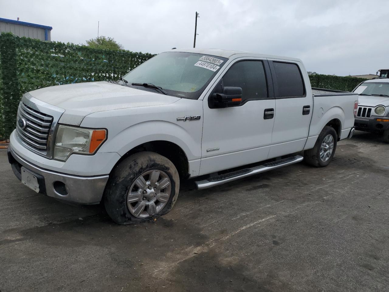 2012 Ford F150 Supercrew на продаже в Orlando, FL - Rear End