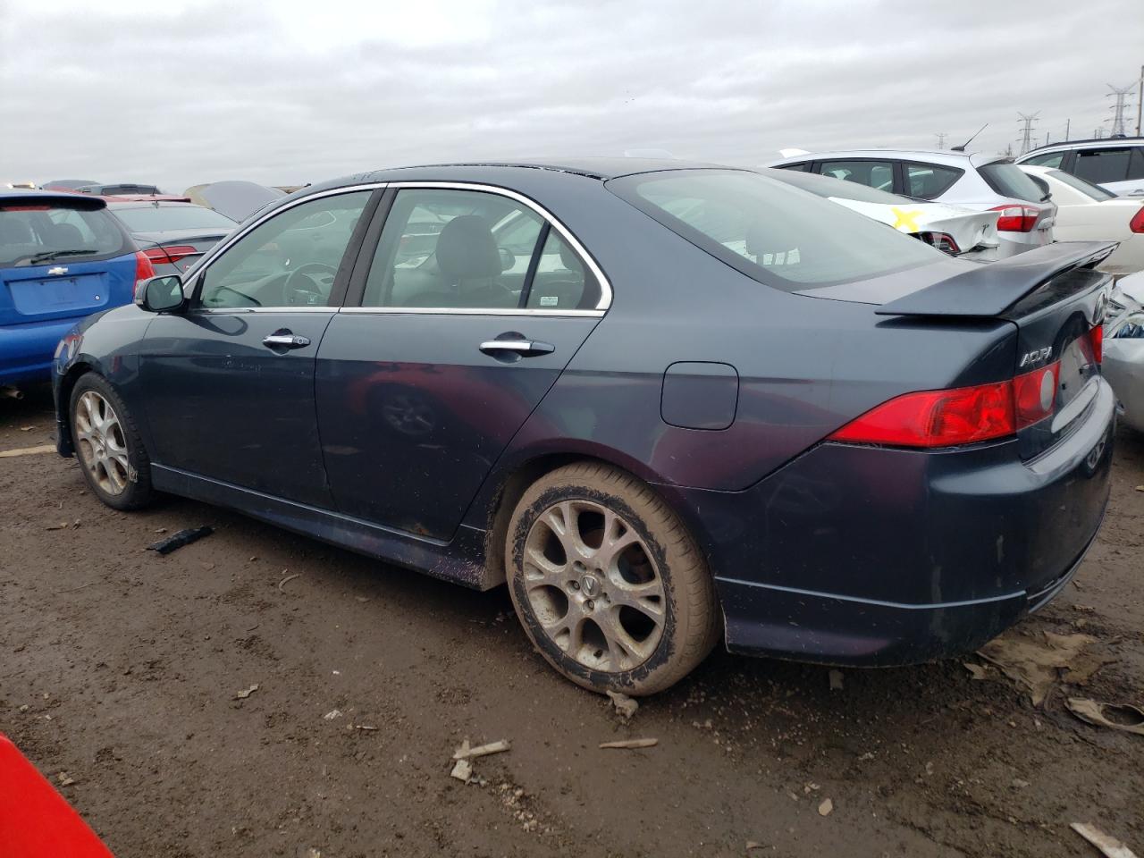 2004 Acura Tsx VIN: JH4CL96834C034006 Lot: 41112654