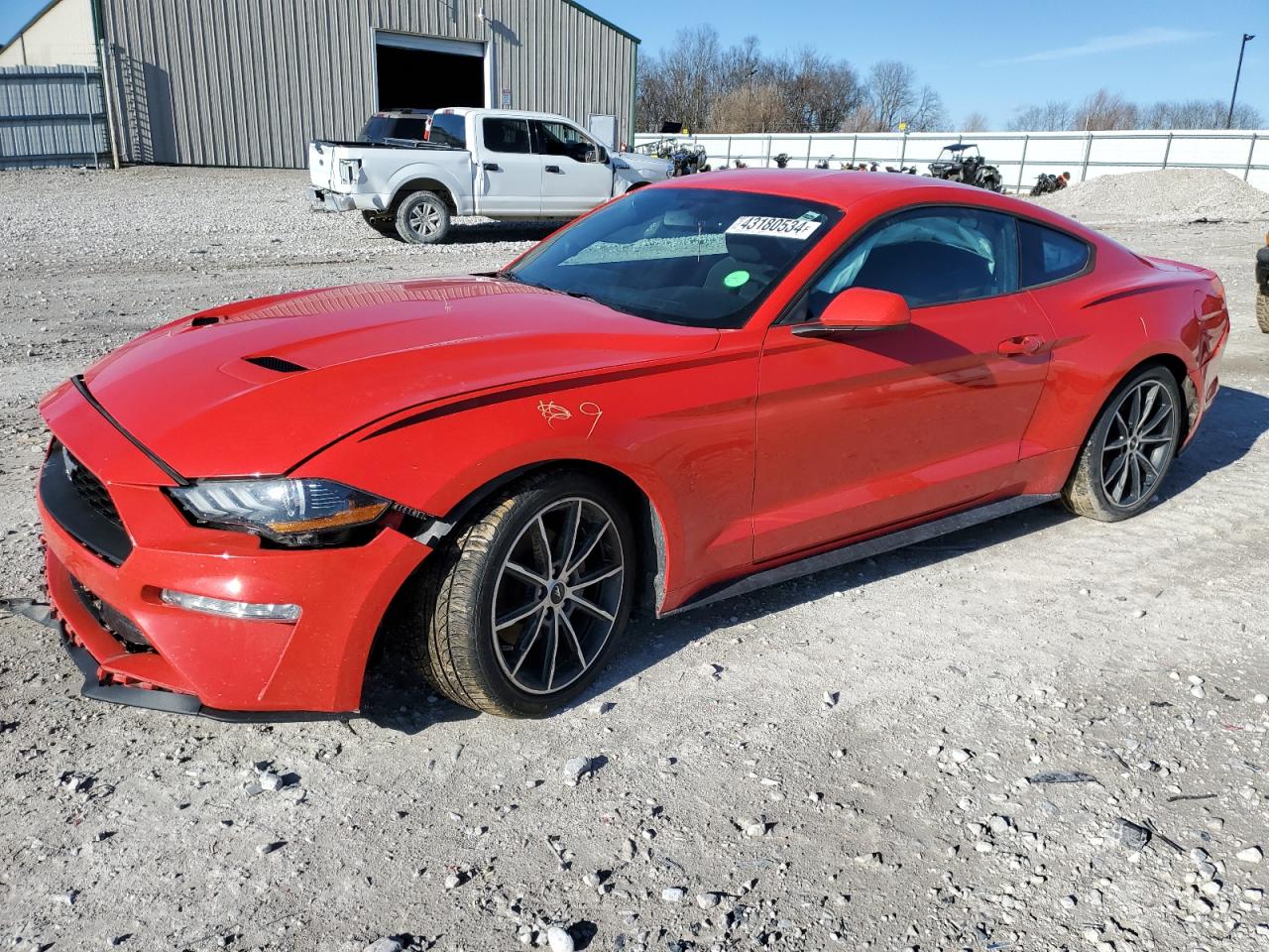 2018 Ford Mustang VIN: 1FA6P8TH8J5113629 Lot: 43180534